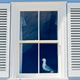 As far as we can tell, these are good shutters and are safe for now.
